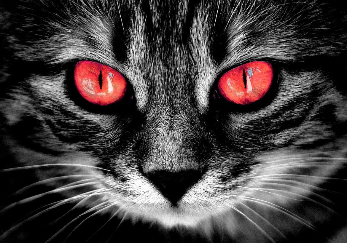 Além do Susto: As Mensagens Ocultas em Filmes de Terror que Você Provavelmente Não Percebeu